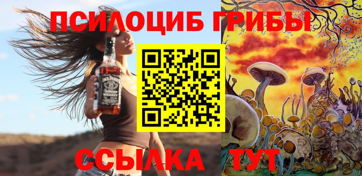 где найти   Вход с VPN  Оренбург  Галлюциногенные грибы Magic Shrooms  Псилоцибиновые грибы Psilocybine cubensis 